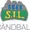 Storhamar W