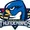 Springfield Thunderbirds