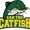 Can Tho Catfish