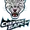 Snezhnye Barsy
