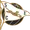Sporting de Espinho